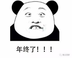 儿子，你都干了什么,我的陪伴与付出