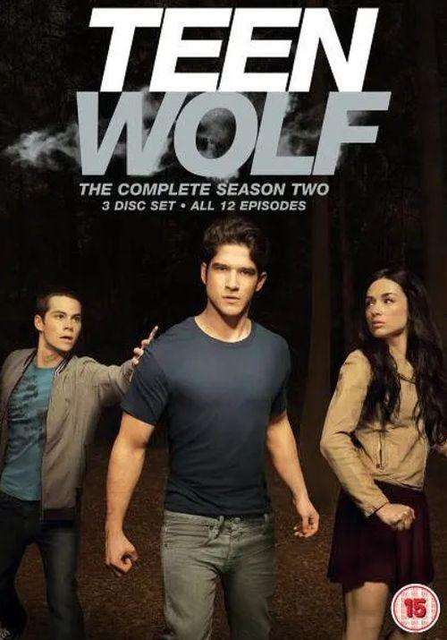 少狼 第二季,青春的挑战与成长之旅