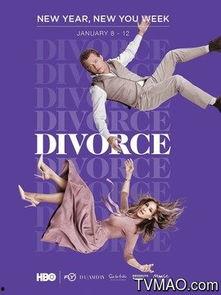 离婚 第二季,离婚第二季，爱恨纠葛再掀波澜